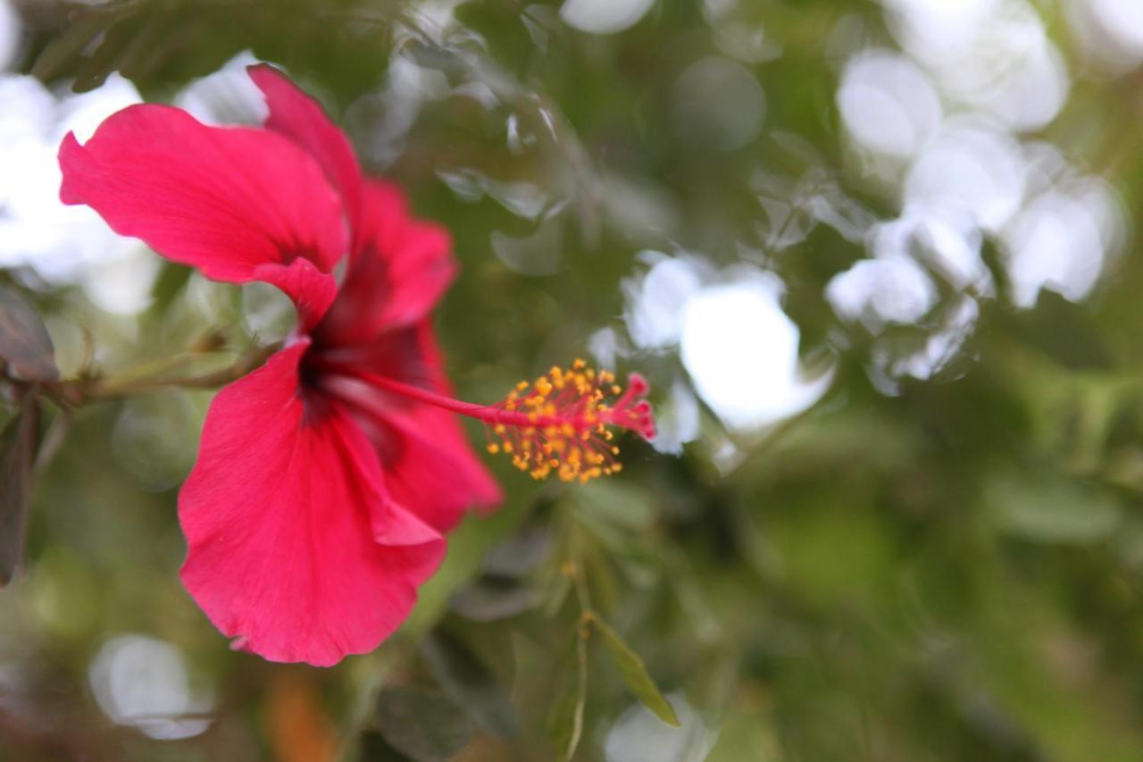 Hospedagem Sabor Da Trilha Vale do Capao Buitenkant foto